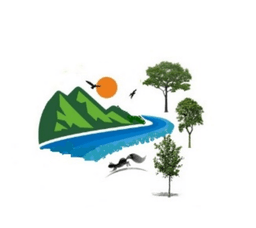 Logo 1
