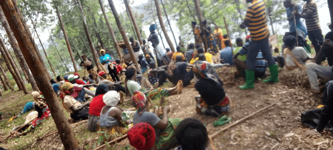 REDIRE community work
