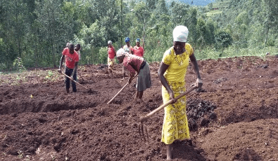 Economic Empowerment