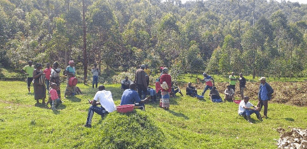 Environmental conservation efforts