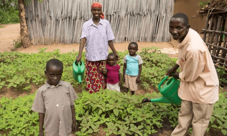 Tree planting initiative