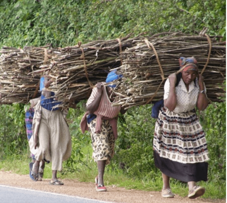 Women's role in community development